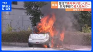 宇都宮市で車両火災 反対車線の植え込みに突っ込む 運転手の女性が軽傷 国道が一部通行規制 栃木県警など|TBS NEWS DIG