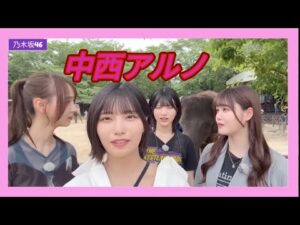 乃木坂46　ぞうの国　アルノまとめ①　5期生　