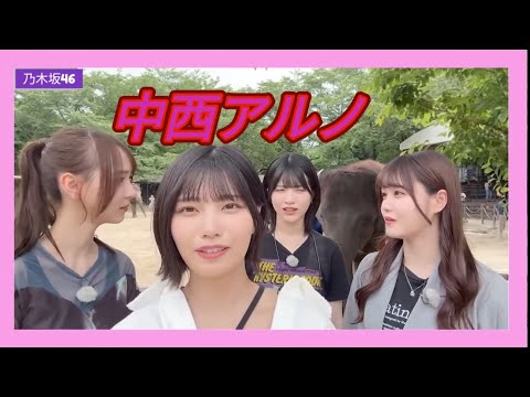 乃木坂46　ぞうの国　アルノまとめ①　5期生　