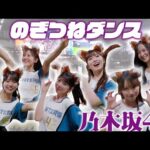【#乃木坂46 】【のぎつねダンス🦊】#小川彩 さん #金川紗耶さん #黒見明香さん #柴田柚菜さん #瀬戸口心月さん#長嶋凛桜さんが登場！