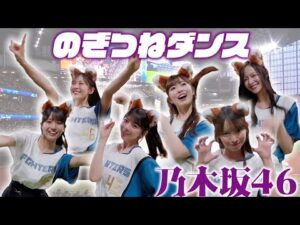 【#乃木坂46 】【のぎつねダンス🦊】#小川彩 さん #金川紗耶さん #黒見明香さん #柴田柚菜さん #瀬戸口心月さん#長嶋凛桜さんが登場！