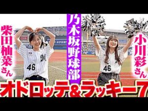 【乃木坂野球部】小川彩さん・柴田柚菜さん『オドロッテ&ラッキー7で盛り上げる！』