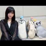 乃木坂46 池田瑛紗 のぎおび showroom 2026/9/2