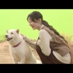 乃木坂46川崎桜、未確認物体と遭遇…！？　ソフトバンク新テレビCMに出演