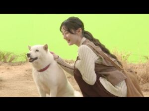 乃木坂46川崎桜、未確認物体と遭遇…!? ソフトバンク新テレビCMに出演