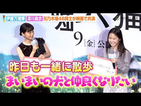 元乃木坂46・1期生の伊藤万理華＆深川麻衣、共演でより仲良しに　今年は「まいまいの犬と仲良くなりたい」昨日も一緒に散歩へ　映画『架空の犬と嘘をつく猫』初日舞台挨拶