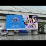 【3日目速報】乃木坂46 梅澤美波卒業コンサート会場レポ #雨雲退散