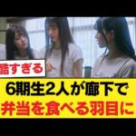 【悲報】6期生2人が廊下で弁当を食べる羽目に…これが選抜のリアル…【乃木坂46】