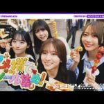 【シール帳】乃木坂メンバーでシール交換してみた...？【大脱線の末にこの動画は前編になりました】