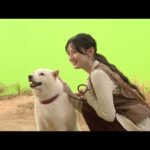 乃木坂46・川﨑桜、ソフトバンクCMに初出演！”最新ニュース”も明かす「3日前から料理を…」ソフトバンク新TVCM「未確認物体との遭遇」篇「未確認物体との共存」篇