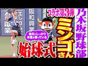 【乃木坂野球部】ネコバス…ミンゴさんのセレブすぎる始球式【コラボ第3弾】