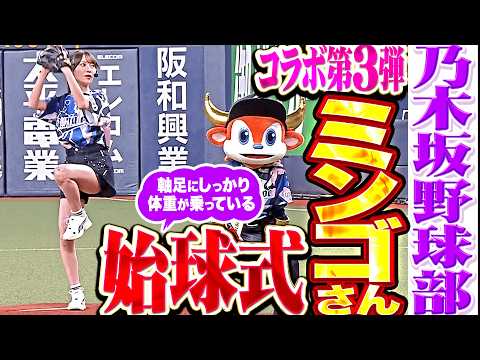【乃木坂野球部】ネコバス…ミンゴさんのセレブすぎる始球式【コラボ第3弾】