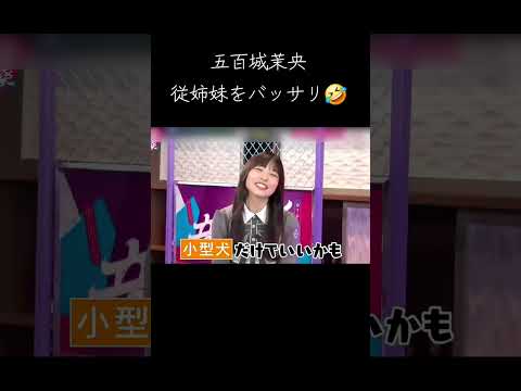 従姉妹に厳しいきっき🤣 #五百城茉央 #乃木坂46 #正源司陽子 #日向坂46 #fyp