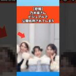 【悲報】乃木坂さんビジュアルで公開処刑されてしまう #乃木坂46